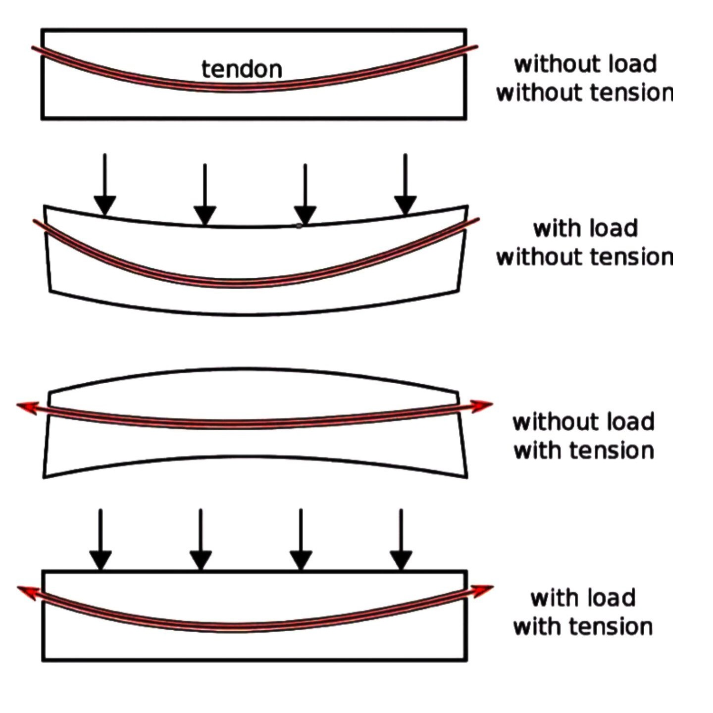 Diagram showing a post-tensioned concrete slab with tendon profile under different conditions: without load, with load, with tension, and combined load and tension